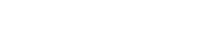 Simplex BI Logo